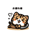 三毛猫のかわいいLINEスタンプ（個別スタンプ：7）