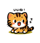 三毛猫のかわいいLINEスタンプ（個別スタンプ：11）