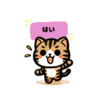 三毛猫のかわいいLINEスタンプ（個別スタンプ：17）