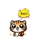 三毛猫のかわいいLINEスタンプ（個別スタンプ：34）