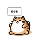 三毛猫のかわいいLINEスタンプ（個別スタンプ：36）