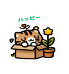 三毛猫のかわいいLINEスタンプ（個別スタンプ：39）