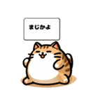 三毛猫のかわいいLINEスタンプ（個別スタンプ：40）