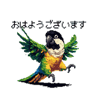 ドット絵 ズグロシロハラインコ 40種（個別スタンプ：1）