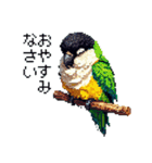 ドット絵 ズグロシロハラインコ 40種（個別スタンプ：2）