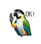 ドット絵 ズグロシロハラインコ 40種（個別スタンプ：7）