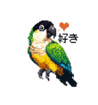 ドット絵 ズグロシロハラインコ 40種（個別スタンプ：11）