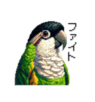 ドット絵 ズグロシロハラインコ 40種（個別スタンプ：19）