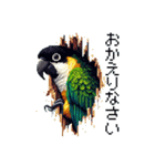 ドット絵 ズグロシロハラインコ 40種（個別スタンプ：26）