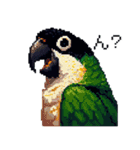 ドット絵 ズグロシロハラインコ 40種（個別スタンプ：33）