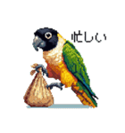 ドット絵 ズグロシロハラインコ 40種（個別スタンプ：38）