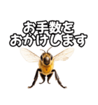 ⚫スズメバチ～蜂の逆襲～（個別スタンプ：14）