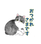 うちのしろくろねこ 1 修正版（個別スタンプ：7）