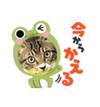 保護猫しらす（個別スタンプ：32）