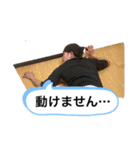 てしスタンプ2024ver（個別スタンプ：24）