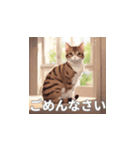 茶トラの猫のLINEスタンプ（個別スタンプ：1）