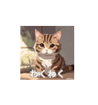 茶トラの猫のLINEスタンプ（個別スタンプ：6）