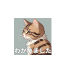 茶トラの猫のLINEスタンプ（個別スタンプ：7）