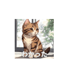 茶トラの猫のLINEスタンプ（個別スタンプ：8）