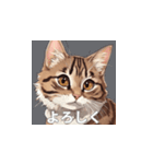 茶トラの猫のLINEスタンプ（個別スタンプ：10）