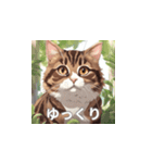 茶トラの猫のLINEスタンプ（個別スタンプ：11）