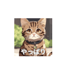 茶トラの猫のLINEスタンプ（個別スタンプ：13）