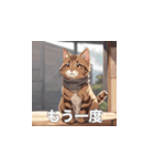 茶トラの猫のLINEスタンプ（個別スタンプ：16）