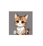 茶トラの猫のLINEスタンプ（個別スタンプ：18）