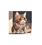 茶トラの猫のLINEスタンプ（個別スタンプ：20）