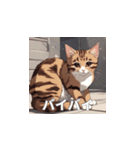 茶トラの猫のLINEスタンプ（個別スタンプ：21）