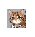 茶トラの猫のLINEスタンプ（個別スタンプ：24）