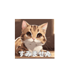 茶トラの猫のLINEスタンプ（個別スタンプ：30）