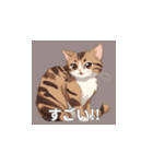 茶トラの猫のLINEスタンプ（個別スタンプ：31）