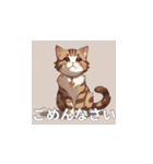 茶トラの猫のLINEスタンプ（個別スタンプ：33）