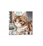 茶トラの猫のLINEスタンプ（個別スタンプ：39）