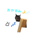 はるかのはるかです。（個別スタンプ：14）