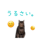 はるかのはるかです。（個別スタンプ：16）