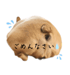 愛犬フレブルはなちゃん敬語（個別スタンプ：11）