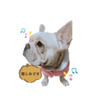 愛犬フレブルはなちゃん敬語（個別スタンプ：17）