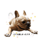 愛犬フレブルはなちゃん敬語（個別スタンプ：18）