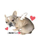 愛犬フレブルはなちゃん敬語（個別スタンプ：21）