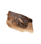 食品シリーズ : 魚肉（個別スタンプ：4）