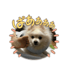 まめしし 3（個別スタンプ：13）