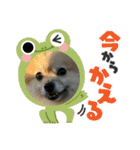 まめしし 3（個別スタンプ：19）