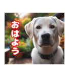 可愛い白い犬と猫（個別スタンプ：1）