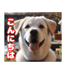 可愛い白い犬と猫（個別スタンプ：2）