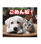 可愛い白い犬と猫（個別スタンプ：7）