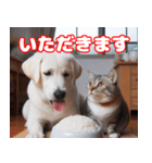 可愛い白い犬と猫（個別スタンプ：9）