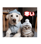 可愛い白い犬と猫（個別スタンプ：10）