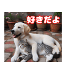 可愛い白い犬と猫（個別スタンプ：11）